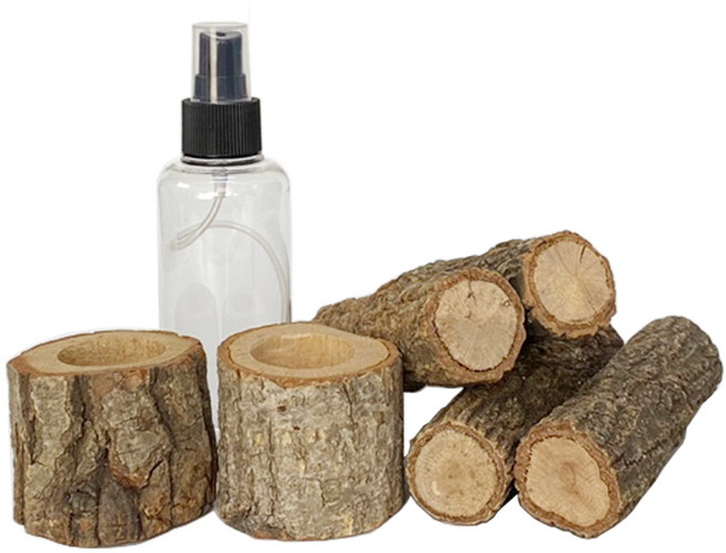 벅스킹덤 프리미엄 곤충용품 종합세트, 혼합색상, 1세트