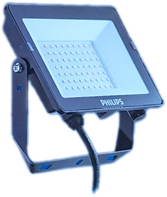 PHILIPS 飛利浦 LED 戶外投光燈 防水 50W 6500K 晝光, 1個