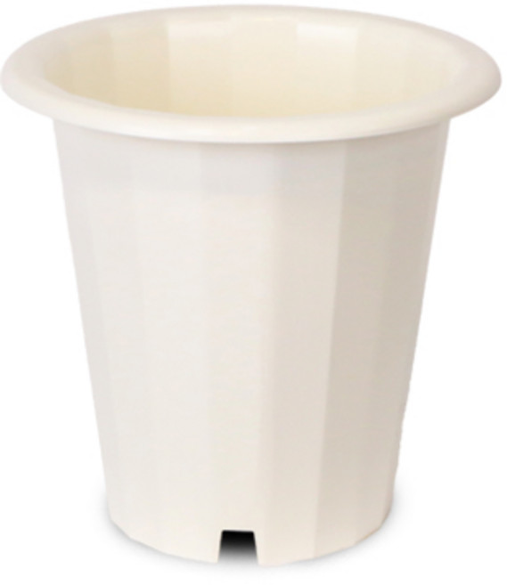 플라팜 글로리 화분 12L, ivory, 1개