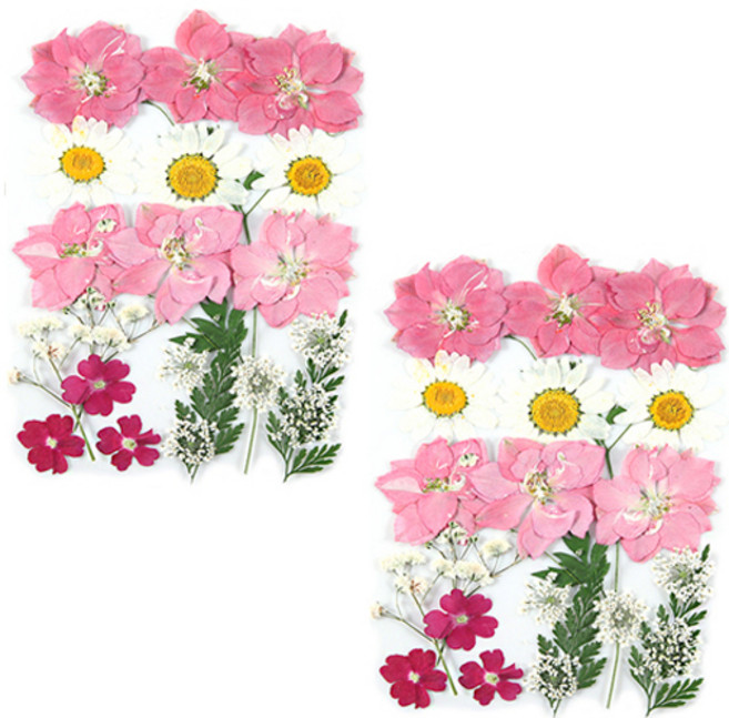 프레스코21 압화 종합팩, RK108, 2세트