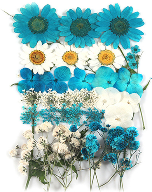 프레스코21 압화 종합팩, K127, 1개