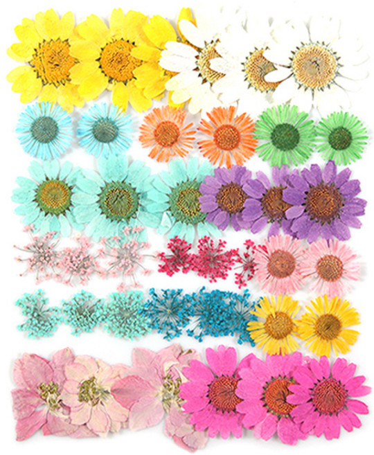 프레스코21 압화 종합팩, K129, 1개