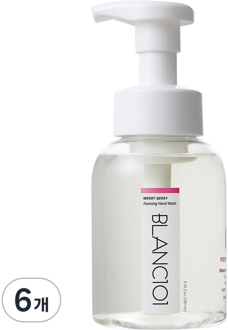 BLANC101 洗手乳 莎莉莓果, 6個, 280ml