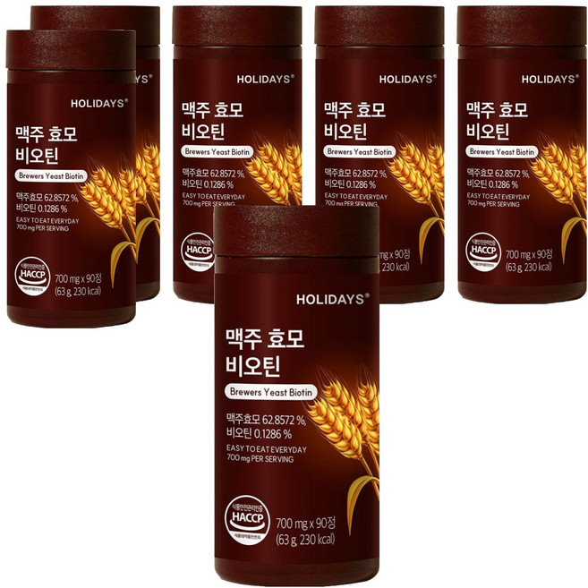 홀리데이즈 맥주효모 비오틴 90p, 63g, 6개