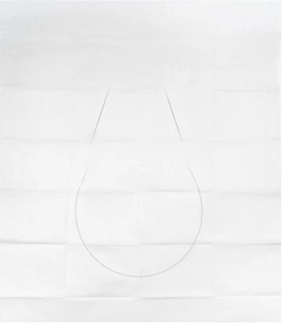 水溶性馬桶坐墊