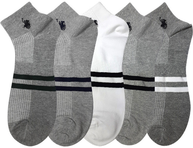 비버리힐스폴로클럽 남성용 빅사이즈 말로고 망사 단목 양말 5족 세트