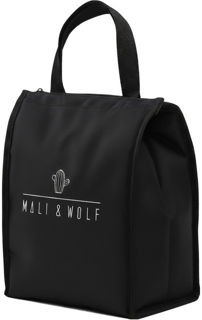 리앤메이드 휴대용 나들이 보냉가방 선인장, 블랙, 1개