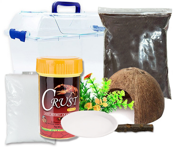 로라펫 소라게 키우기 세트 코코피트, 혼합색상, 1개