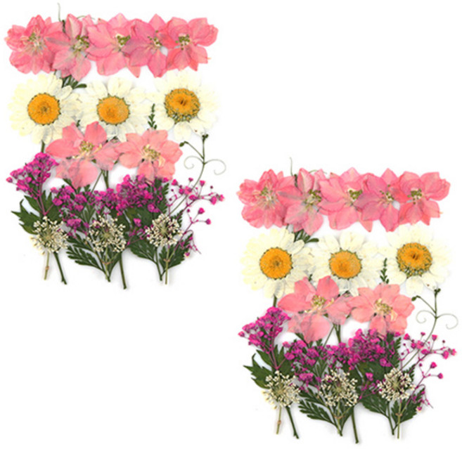 프레스코21 압화 종합팩, K102, 2세트