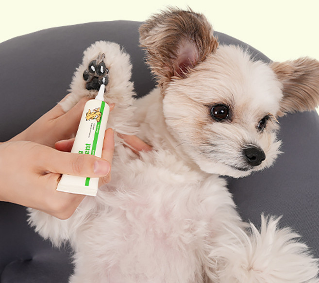 래핑찰리 수딩 오인먼트, 20g, 1개