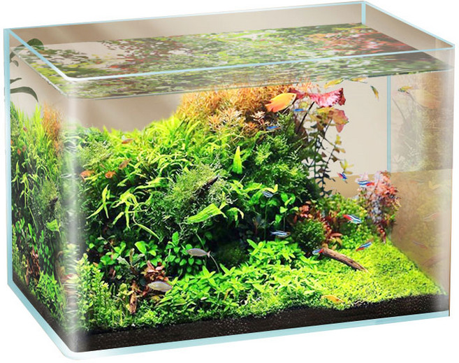 수아쿠아 타나 라운드 미니 오픈 수조, 투명, 1개