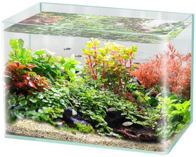 수아쿠아 타나 라운드 미니 오픈 수조, 투명, 1개