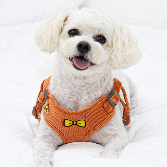 온모아 강아지 하네스 + 리드줄 세트, 오렌지, 1세트