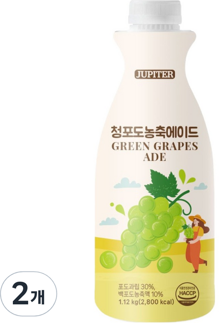 데이웰 쥬피터 청포도 농축 에이드, 1.12kg, 2개