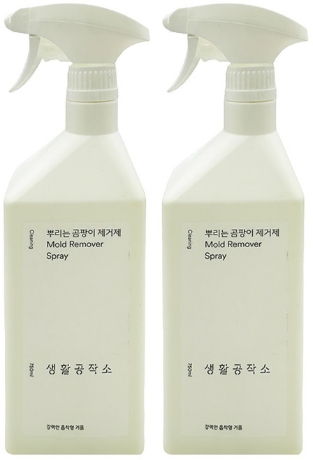 Saengong 生活工作所 噴式除霉劑 蘋果香, 750ml, 2個