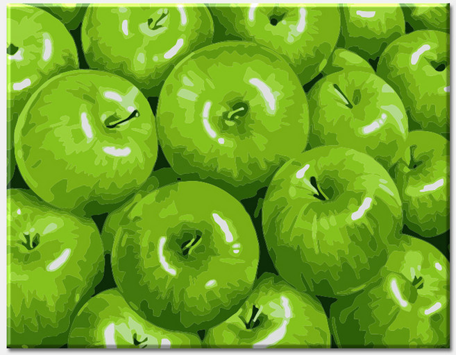 모모픽스페인팅 DIY 명화 그리기 세트 40 x 50 cm, 청사과 과일, 1개