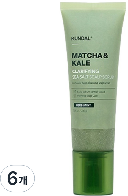 쿤달 말차 앤 케일 클래리파잉 씨솔트 두피 스케일링 샴푸 허브민트, 200g, 6개