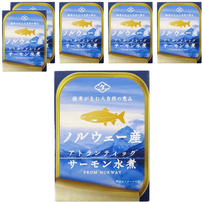 Choshita 田原挪威鮭魚水煮罐, 90g, 6罐