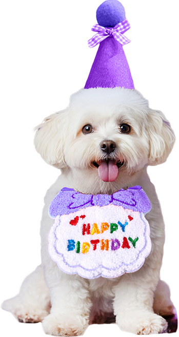 마르벨라 반려동물 멍냥이 생일파티 스카프 + 모자 세트 Free, 퍼플, 1세트