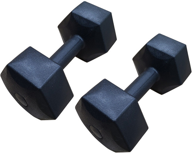 대한스포츠 육각 아령, 10kg, 2개