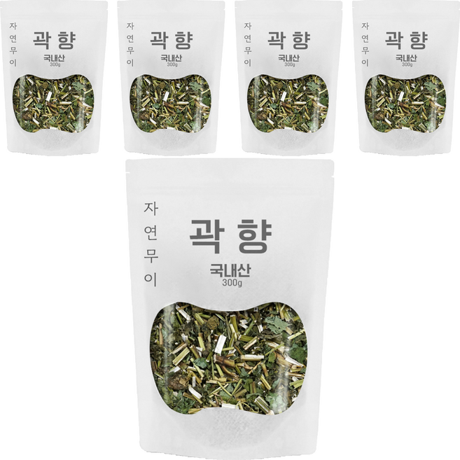 자연무이 곽향 곽향차 배초향, 300g, 5개