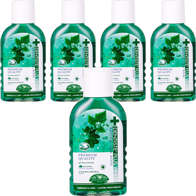 덴티스테 내츄럴 오랄린스, 100ml, 1개입, 5개