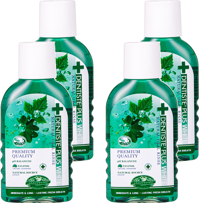 덴티스테 내츄럴 오랄린스, 100ml, 1개입, 4개