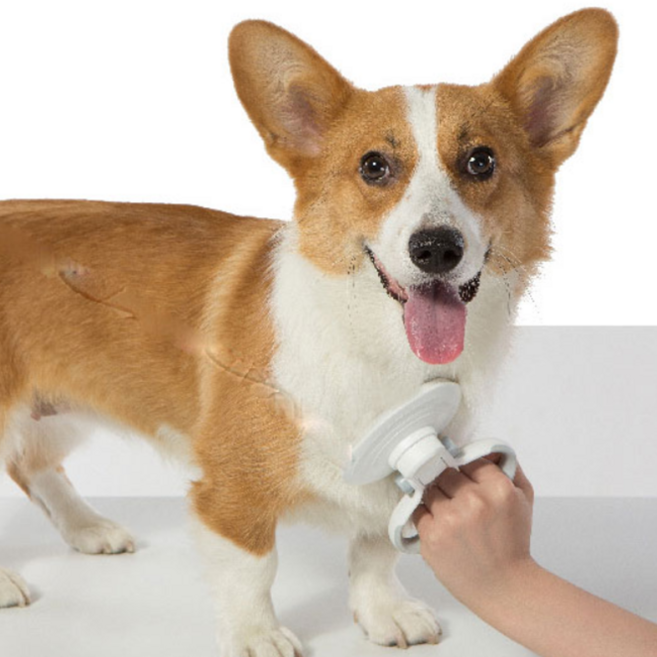 멍구야놀자 반려동물용 핸디형 쉐딩레이크 브러쉬, 랜덤발송, 1개