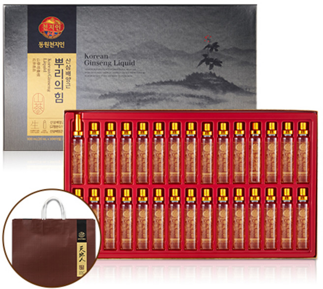 천지인 뿌리의 힘 산삼배양근 + 쇼핑백, 600ml, 1개