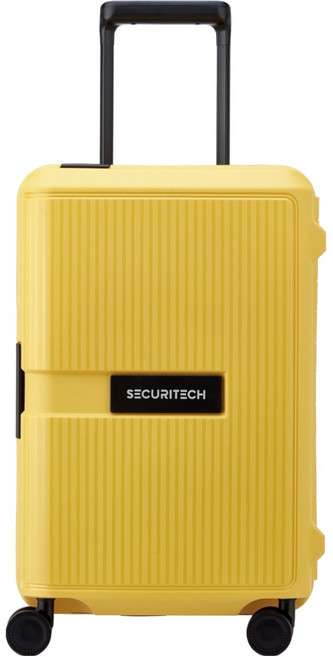 델시 시큐리테크 스톤 PP 하드 캐리어