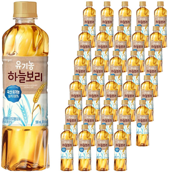 하늘보리 유기농 차 음료, 500ml, 48개