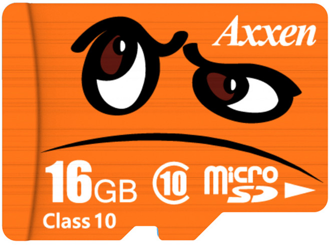 액센 프리미엄 캐릭터 마이크로 SD카드, 16GB, 1개