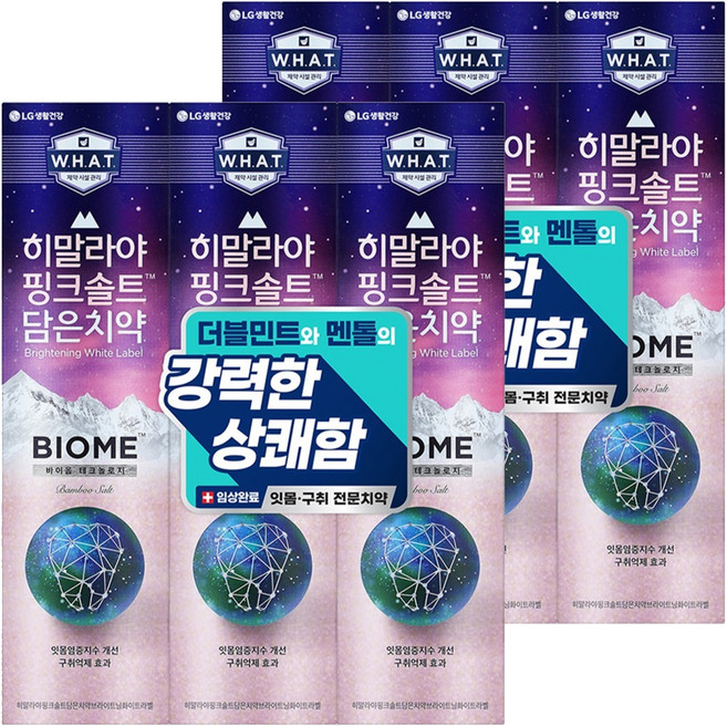 히말라야핑크솔트 담은 바이옴 잇몸 구취전문 치약, 100g, 6개