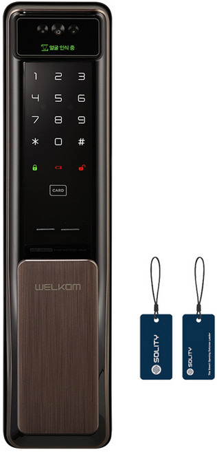 SOLITY WELCOM 臉部辨識推拉式數位含把手門鎖 WSP-2900A + 卡片鑰匙 2p 組, 顧客自行安裝