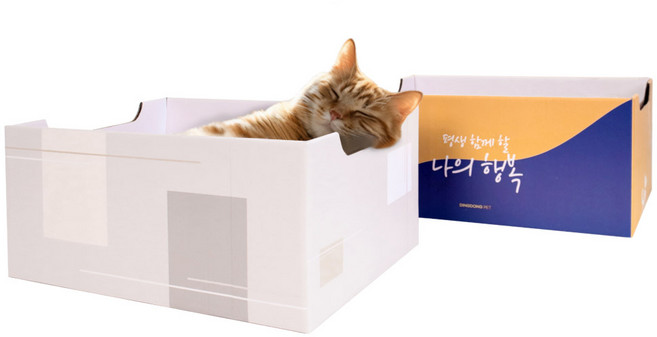 딩동펫 고양이 모던 스크래쳐 박스 2종 세트, 블루 + 옐로우, 그레이, 1세트