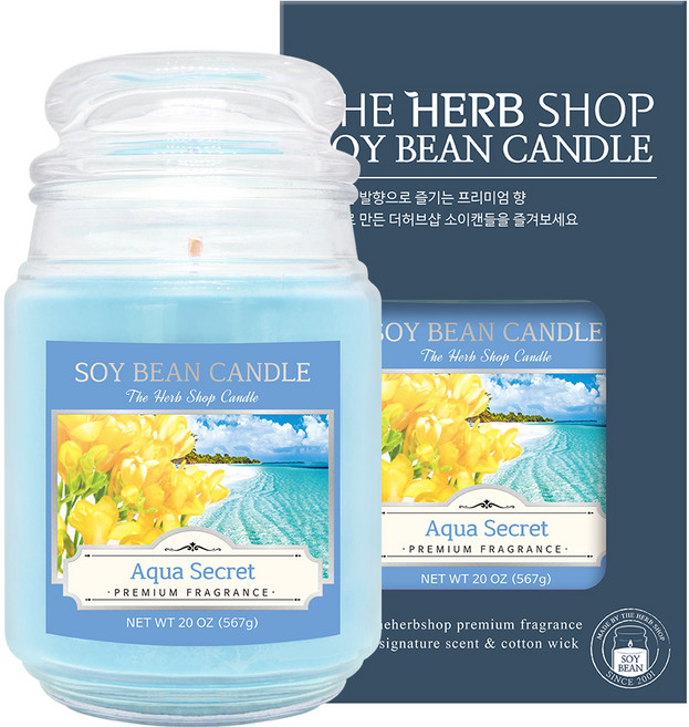 더허브샵 소이캔들, 아쿠아시크릿, 567g, 1개