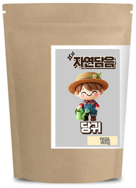 자연담음 당귀 국내산, 500g, 1개