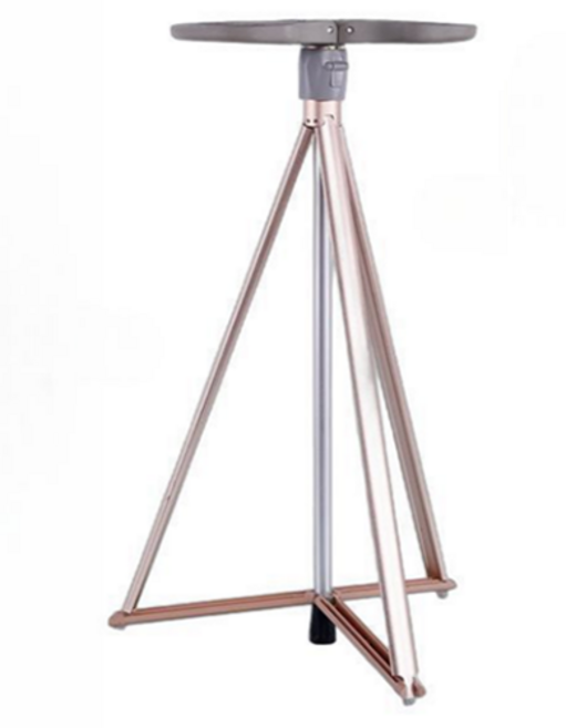 앙멧 다용도 접이식 지팡이 의자, 골드, 1개