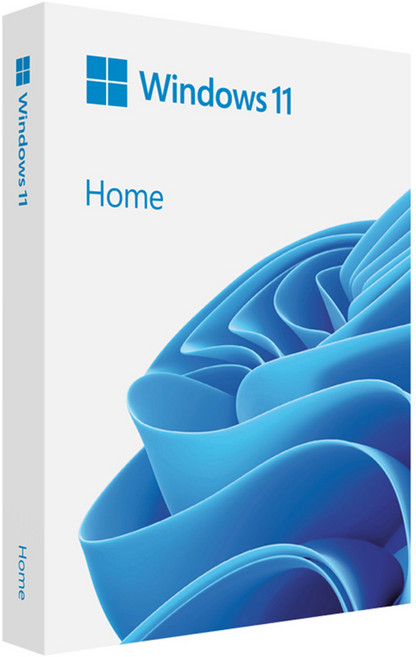 마이크로소프트 Windows 11 Home 처음사용자용 FPP USB, HAJ-00095