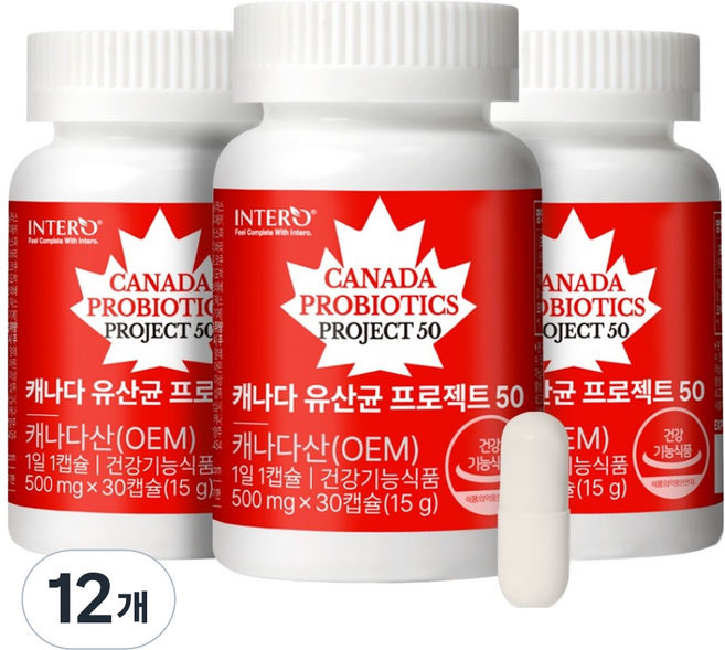 인테로 캐나다 유산균 프로젝트 50 15g, 30정, 12개