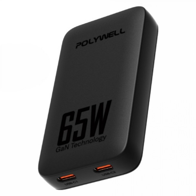 POLYWELL 寶利威爾 GaN雙Type-C輕薄型快充頭 65W S014P02, 黑色, 1個