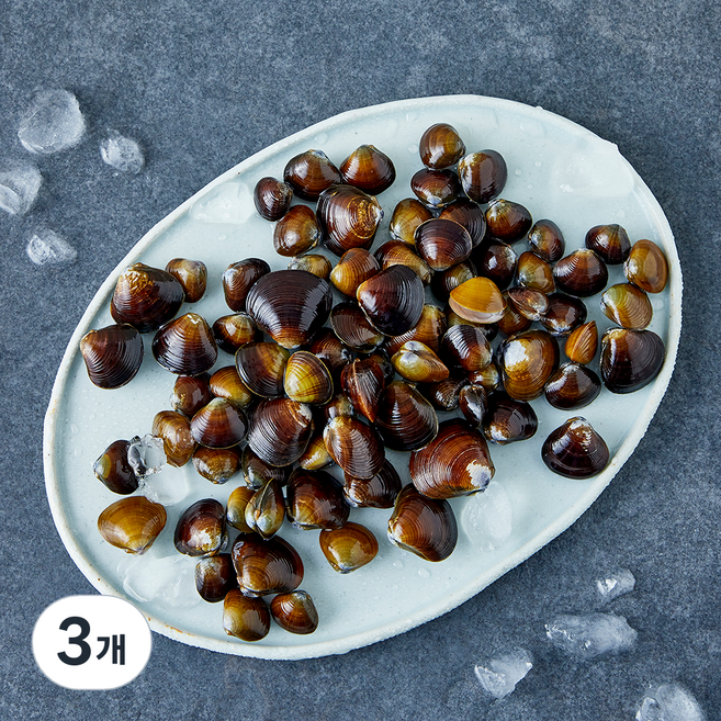 재첩 (냉장), 3개, 600g