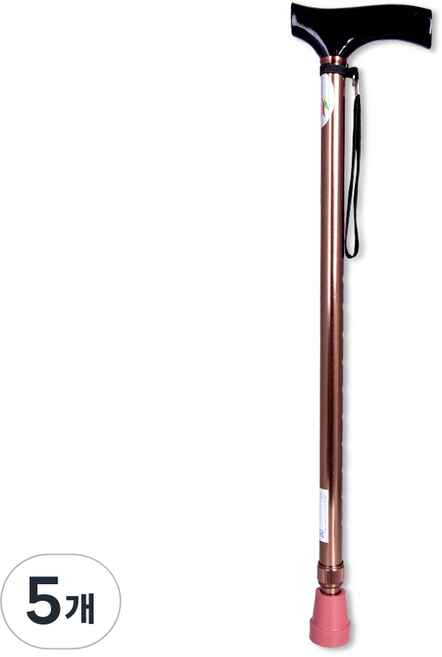 진산 웰비 2단지팡이 BT772, 크롬 갈색, 5개