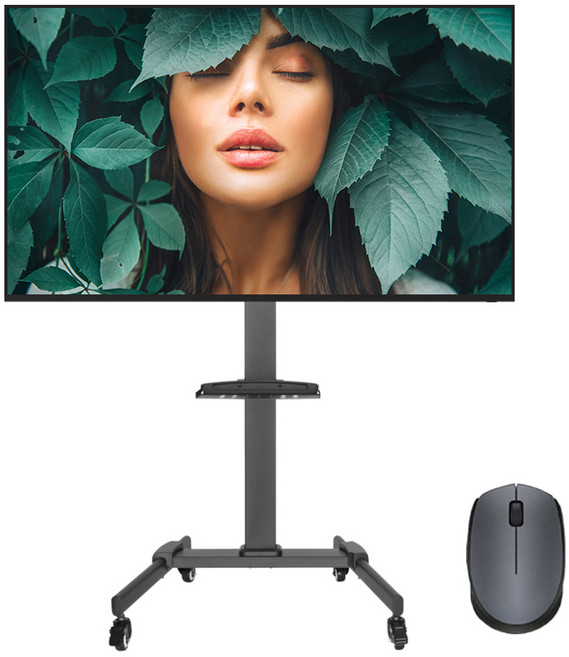 카멜 FHD 동영상 반복 재생 솔루션 DS 플레이어 모니터 + 무선마우스 + 스탠드 거치대 세트 방문설치, 139.7cm, 모니터(CDS5520), 스탠드(ASB55)