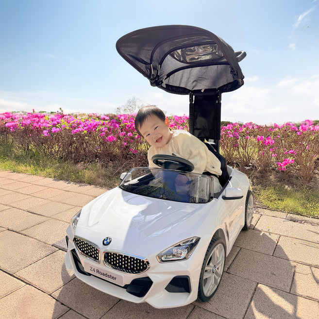 대호토이즈 BMW Z4 푸쉬카 플러스, WHITE, 1개