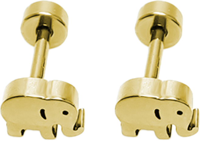 Brilliant Beauty 耀眼美人 微觀現象鈦閃耀 鈦鋼耳環鎖式耳環 1對