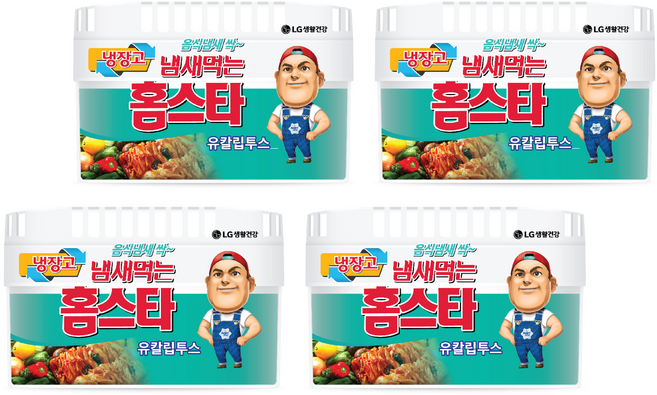 홈스타 냄새먹는 냉장고용 탈취제 유칼립투스 본품, 420g, 4개