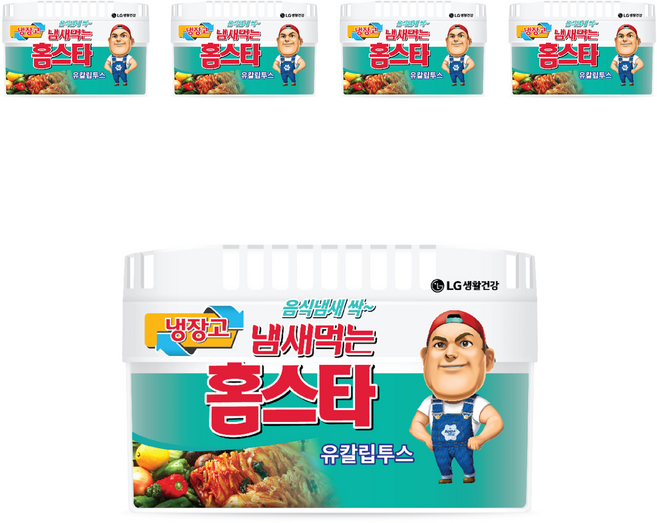 홈스타 냄새먹는 냉장고용 탈취제 유칼립투스 본품, 420g, 5개