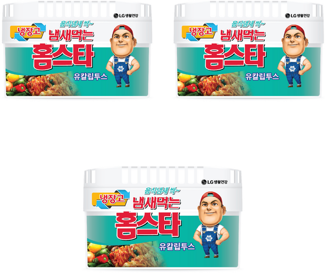 냄새먹는 홈스타 냉장고용 탈취제 유칼립투스, 420g, 3개