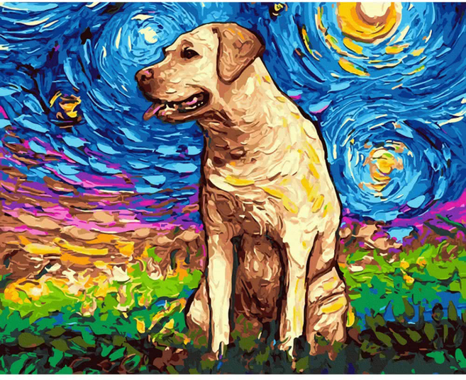 ArtLife 藝術生活 數字油畫DIY DT019 40 x 50cm, 星空之下, 1個
